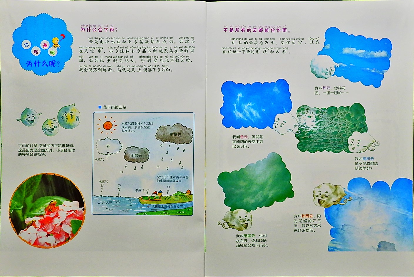 淅淅沥沥，为什么会下雨？ (10),绘本,绘本故事,绘本阅读,故事书,童书,图画书,课外阅读